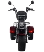 Электроскутер SKYBOARD CITYCOCO TRIKE BR80