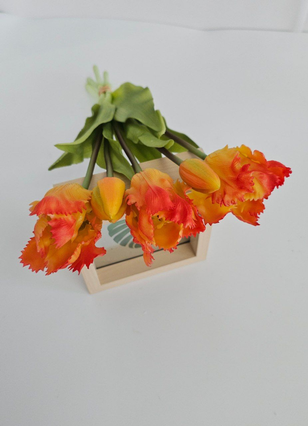 Тюльпаны бахромчатые / Арт 2543