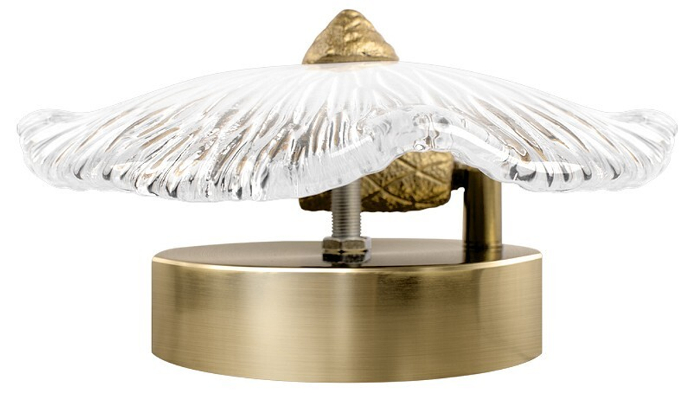 Накладной светильник Loft it Bloom 10352W/A AB