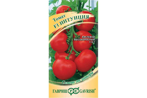 Томат Интуиция