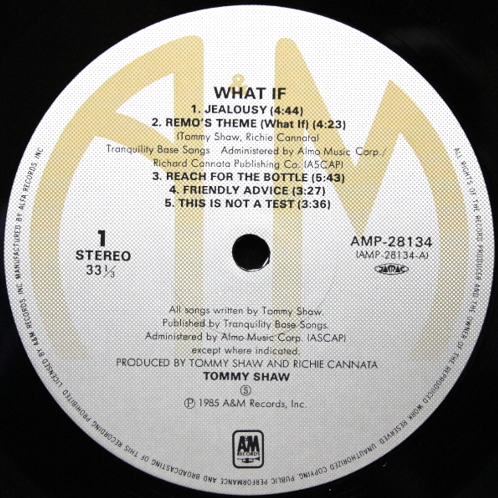 Tommy Shaw / What If (LP)