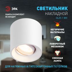Светильник настенно-потолочный спот ЭРА OL25-1 WH MR16/GU5.3, белый, поворотный