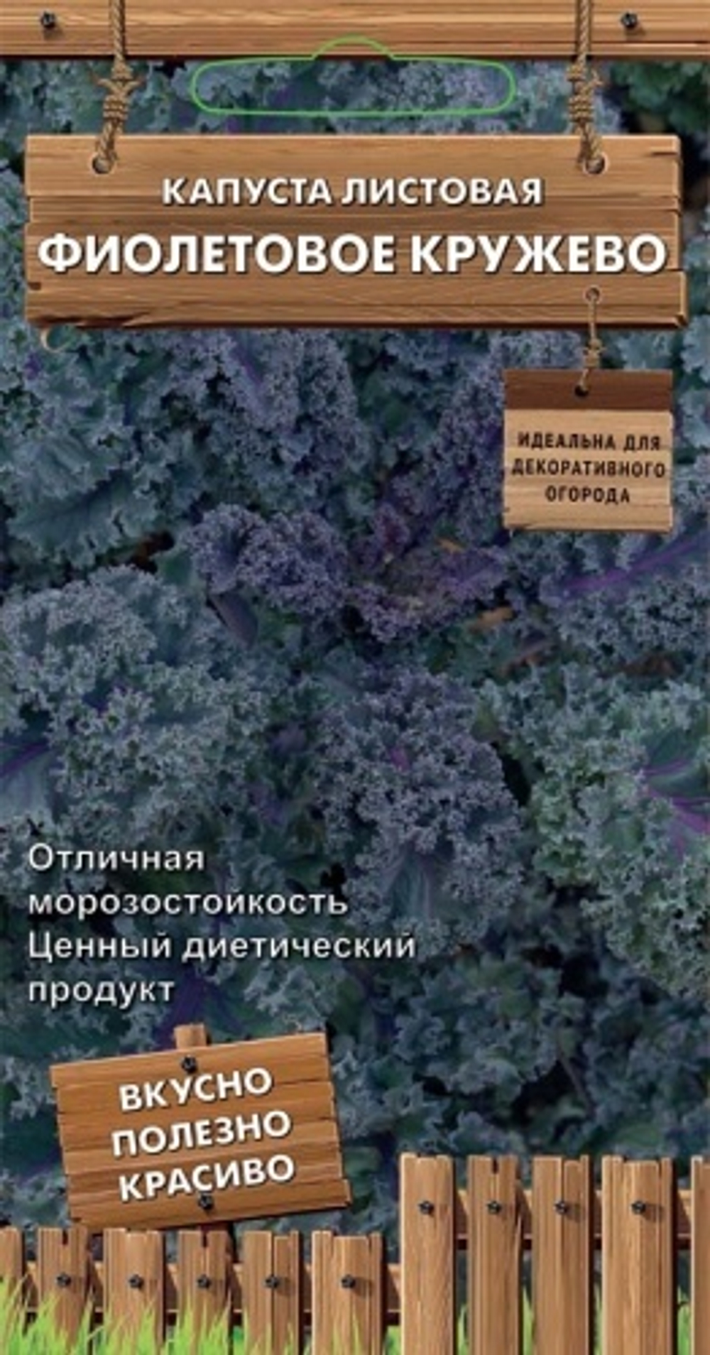 Капуста листовая Фиолетовое кружево 0,1г Ц Поиск