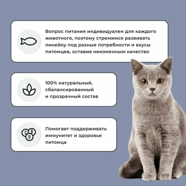 Сухой корм BOWL WOW для котят с курицей и черникой