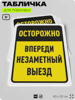 Табличка для парковки "Осторожно, впереди незаметный выезд", для дома, офиса, организаций, 40х30 см, Silver Plane x Айдентика Технолоджи