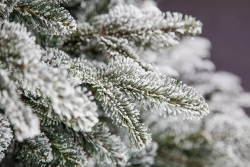 Ель искусственная Стильная заснеженная 230 см., литая хвоя+пвх, Black Box (74004)