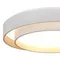 SLE6009-502-01 Светильник потолочный Белый/Белый LED 1*50W 3000K/4000K/6000K CROSBY