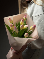 Тюльпаны 9 шт