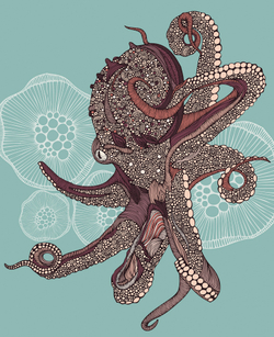 Коллекция Животные