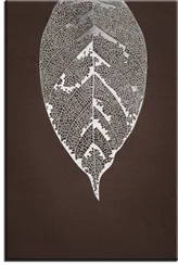 Постер "Серебряный лист"