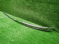 DSCN7294.JPG