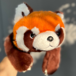 Красная панда