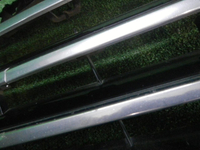 DSCN7837.JPG