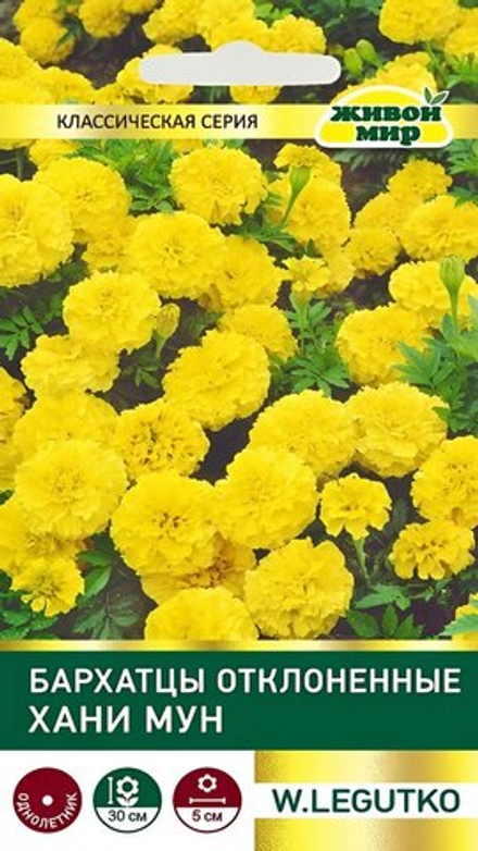 Бapxaтцы "ЖМ. Хaни мyн" 1г., Польша.