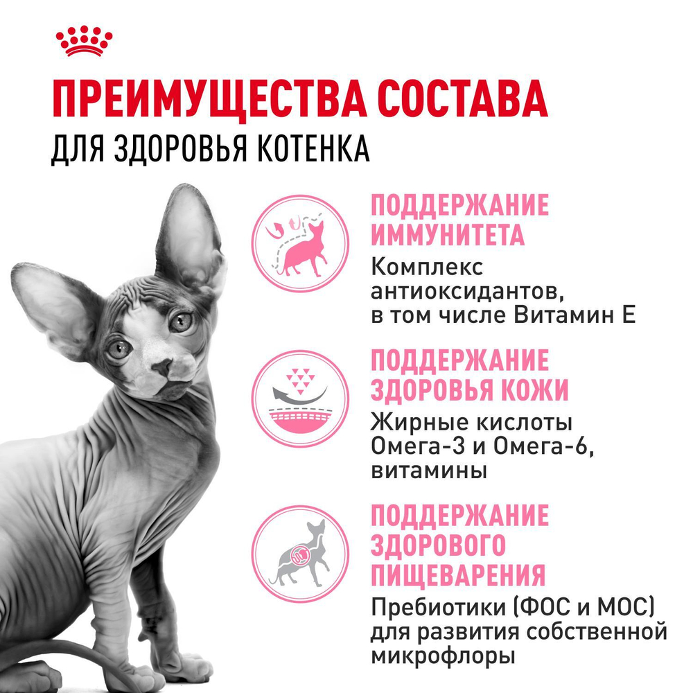 Royal Canin Sphynx Kitten Корм сухой сбалансированный для котят породы Сфинкс до 12 месяцев 2 кг