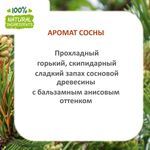 Сосна, отдушка для свечей и мыла