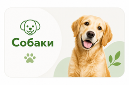 Собаки