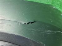 Бампер передний Lada Granta (2018-н.в.)