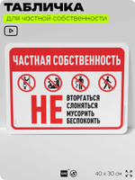 Табличка для частной территории "Частная собственность", на дом, для участка, организаций, предупреждающая, 40х30 см, Silver Plane x Айдентика Технолоджи