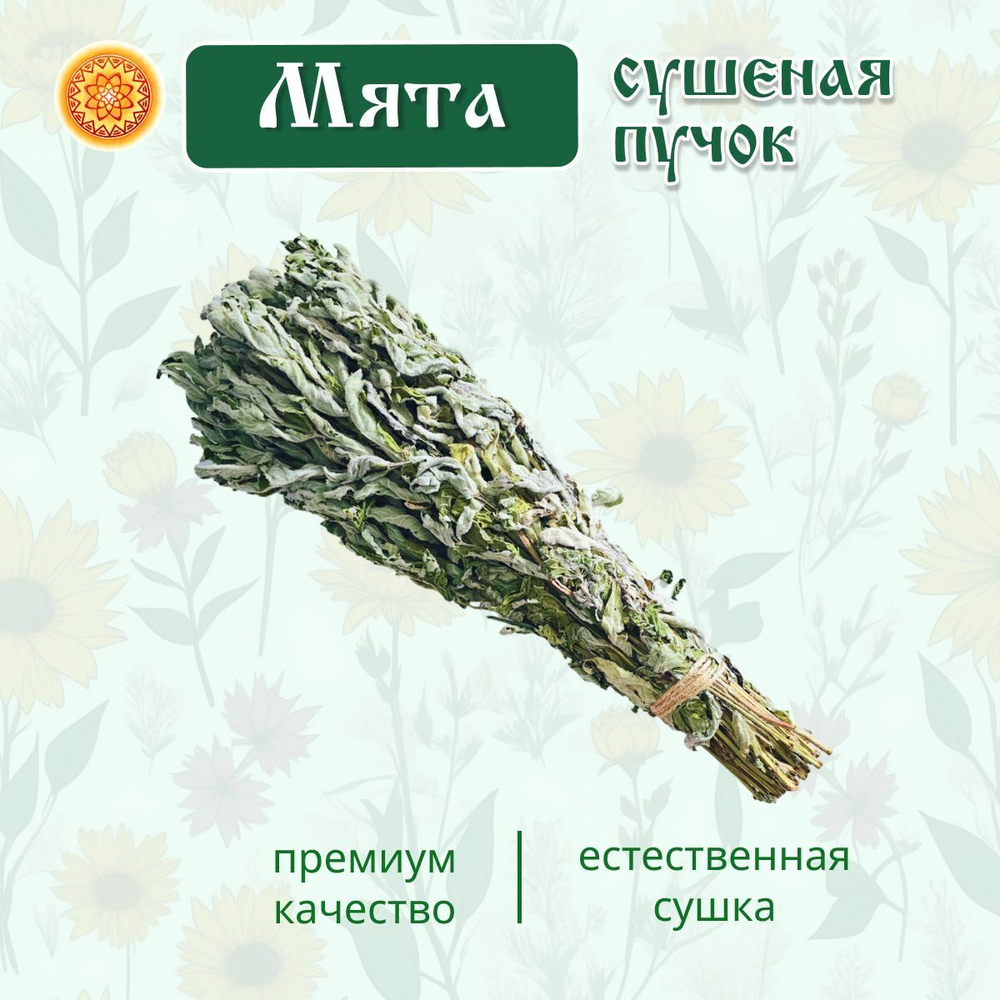 Мята дикая пучок.
