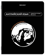Тетрадь предмет. А5 48л. клетка "Мемы" Английский twin лак, подсказки (BRAUBERG)