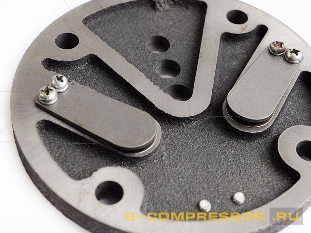 Клапанная плита в комплекте СБ4 LB50-LB75 фото макро