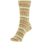 Austermann Step 4 Cupcake - 484 (Happy)