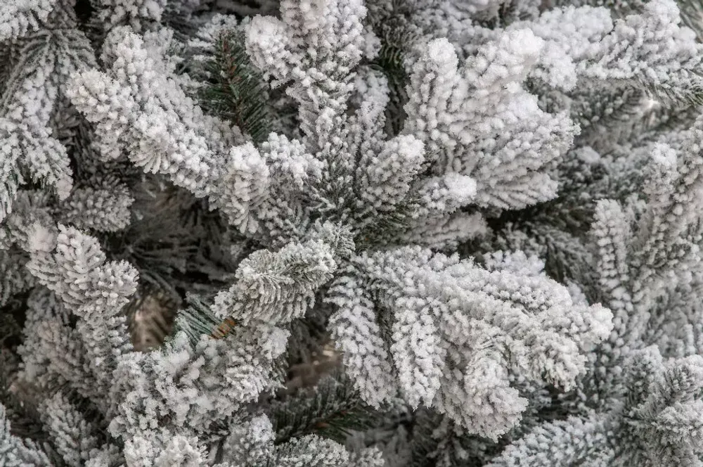 Заснеженная елка «Имперская» (Литая+пвх) 210 см / 2.1 м