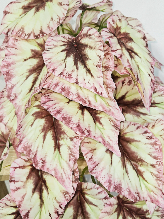 Искусственная Бегония розовая 40см в кашпо