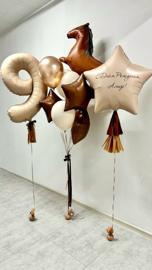 "Необычное утро" (набор из 11 шаров. Лошадка) №8543