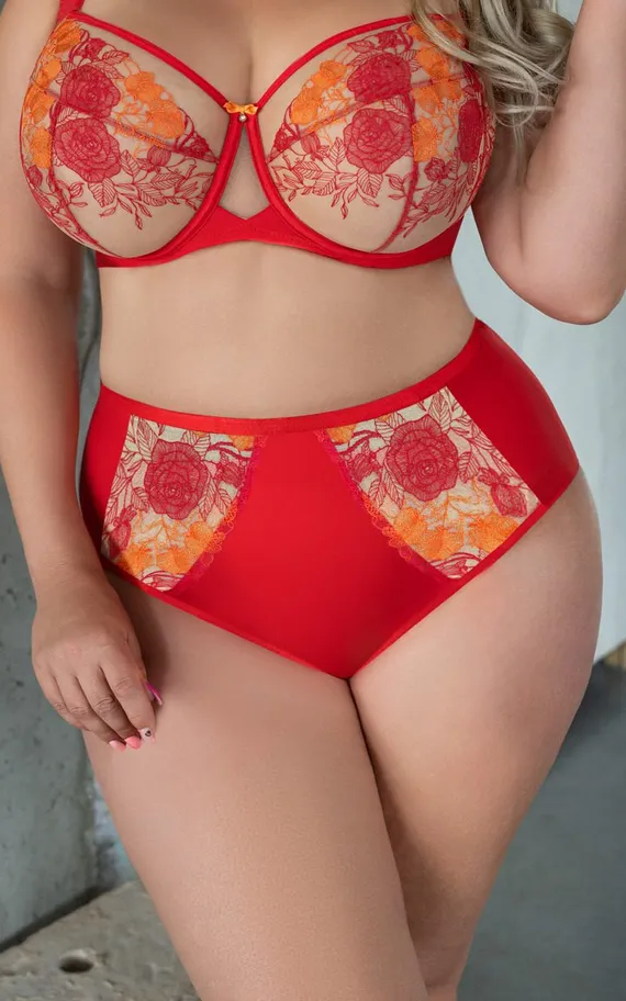 SWEETHEART Briefs Трусы слипы