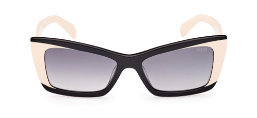 Солнцезащитные очки Emilio Pucci EP 0205 05B