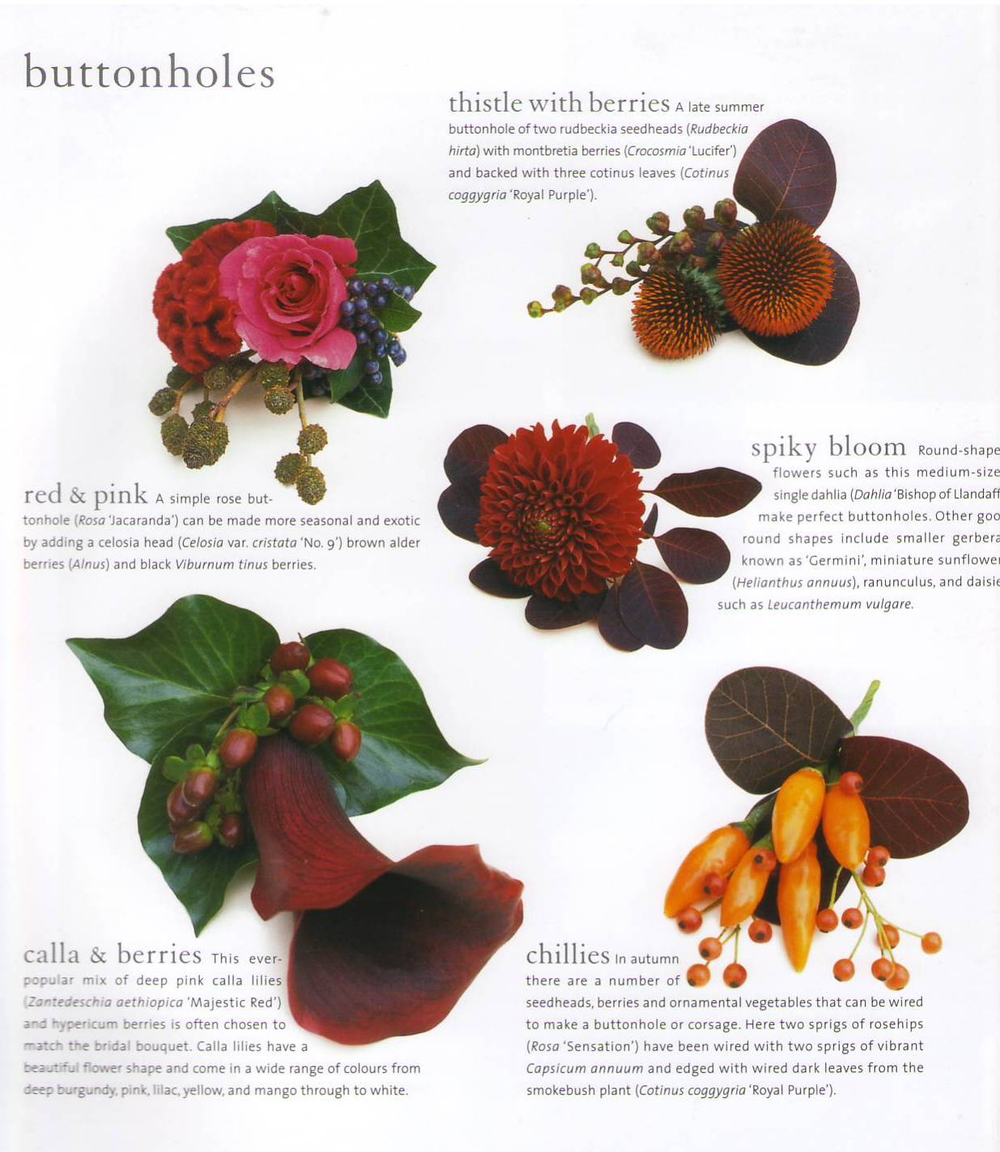 Wedding Flowers by Paula Pryke