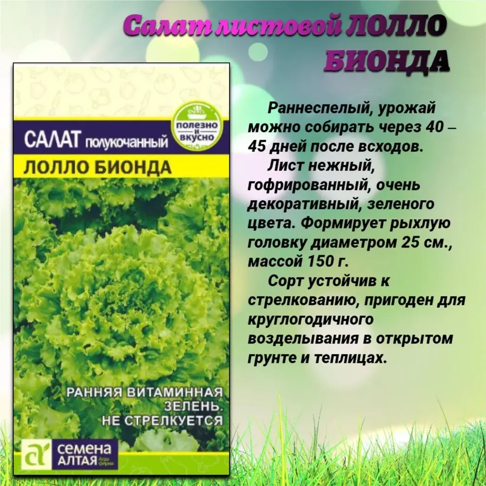 Набор семян: салат и редис