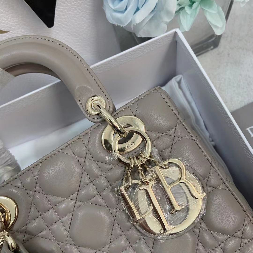 Christian Dior Lady Dior 20 cm
