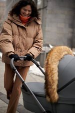 Детская коляска Anex l/type 3 в 1 Frost