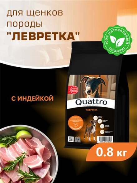 Корм сухой для щенков породы Левретка, с индейкой, 800 гр, QUATTRO