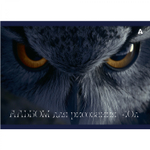 Альбом для рисования А4 40л, Alingar, гребень, мелованный картон(стандарт) 210г/м2, офсет 100 г/м2,, "Сова", 1 дизайн в пленке т/у