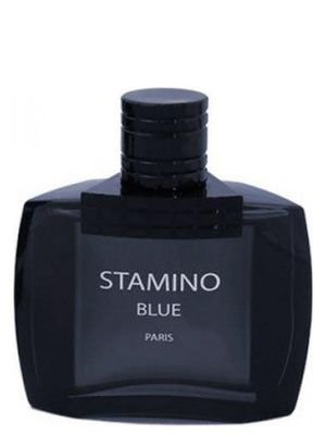 Prime Collection Stamino Blue