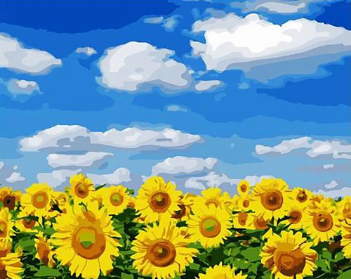 Картина по номерам Подсолнухи 20х30