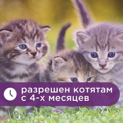 KRKA Марфлоксин 5 мг, 10 таблеток. Для лечения инфекций у кошек и собак. Марбофлоксацин.