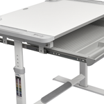 Комплект растущей детской мебели Fundesk Littonia парта + стул + выдвижной ящик + подставка + лампа