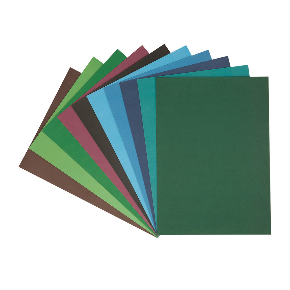 Картон цветной А4 20 цвета(ов) 10 л. 2-х сторонний мелованный МУЛЬТИ-ПУЛЬТИ Приключения енота (КЦ10-20цдв_