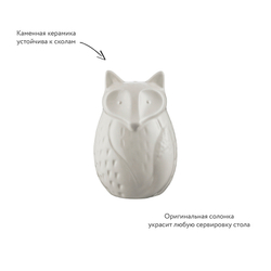 Солонка in the forest fox