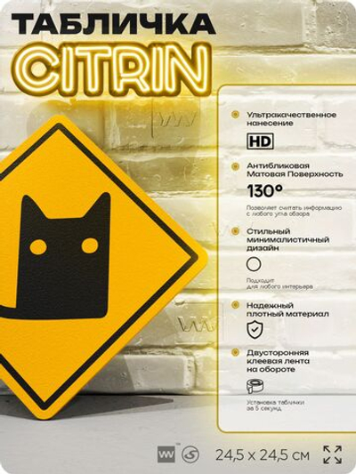Табличка прикольная "Осторожно, котик" на дверь и стену, информационная и предупреждающая, декоративный знак, 24,5х24,5 см, пластиковая, Айдентика Технолоджи