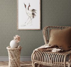 Сканди Дзен Ромбы