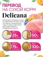 Сухой полнорационный корм для котят с чувствительным пищеварением с индейкой DELICANA 8кг