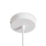 Подвесной светильник Freya FR5530PL-L12W