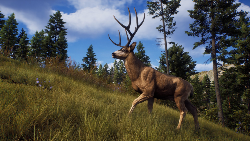 Way of the Hunter (для ПК, цифровой код доступа)