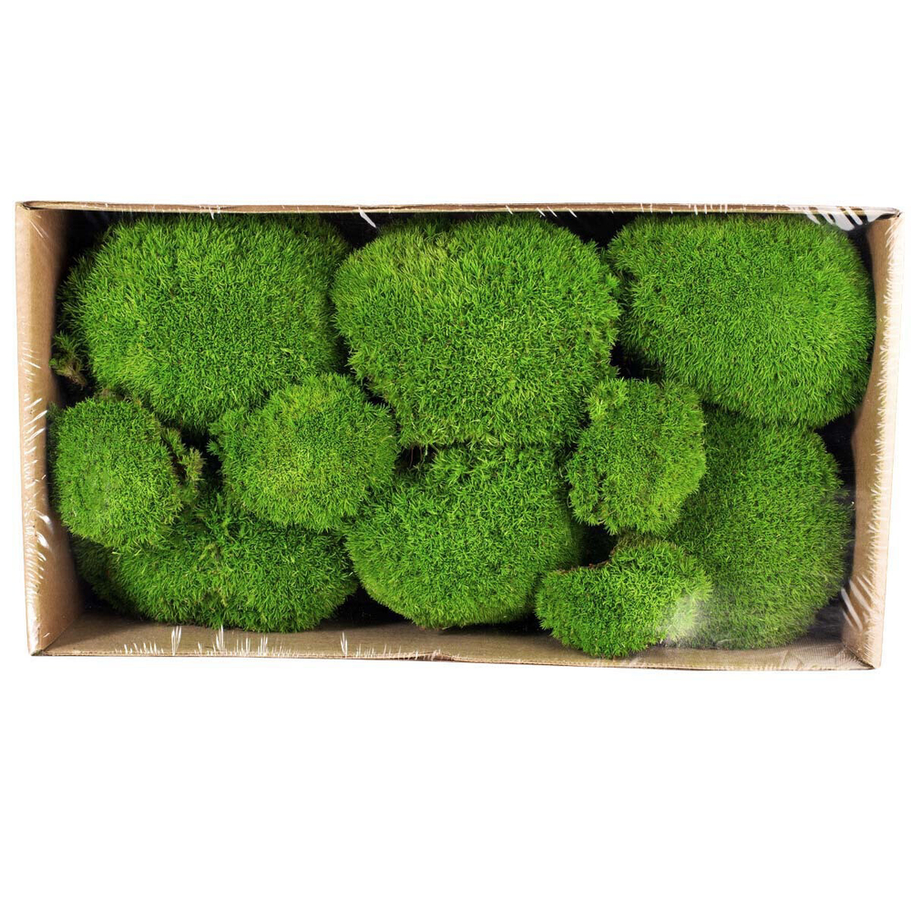 Мох кочка светло-зелёная EF 200 гр.